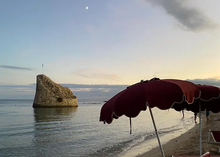 Le Cerase * Сальве